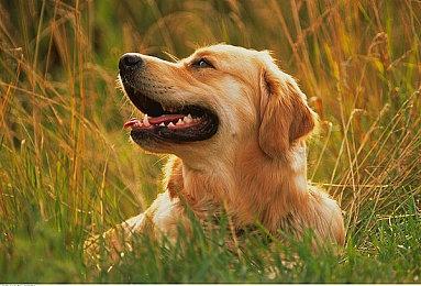 《文明7》将在2025年3月31日之前推出 期待吗？