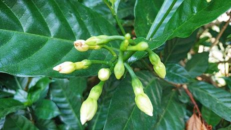 《索尼克 缤纷色彩 究极版》官方公布多个新要素 增强游戏体验